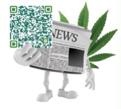 Publisher’s Note: Cannabis News Florida Turns Over a New Leaf