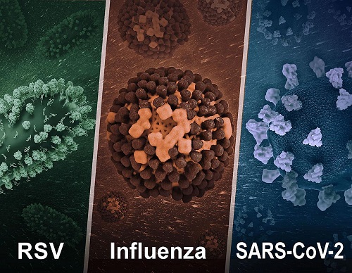 NIH: Developing mucosal vaccines for respiratory viruses
