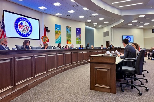 Tampa General Hospital Showcases Innovations in Patient Care at Florida Senate Committee Hearing