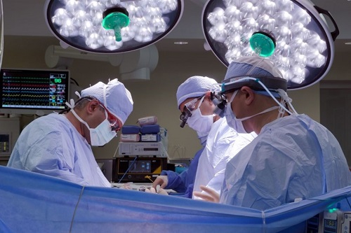 Tampa General Hospital’s Transplant Institute Achieves Record Number of Organ Transplants in 2022