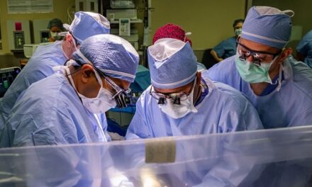 Tampa General Hospital Performs First Living Donor Liver Transplant on the West Coast of Florida