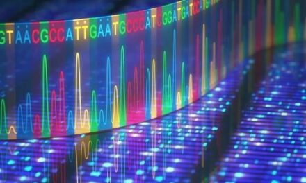 Mayo Clinic uses genomic testing broadly for rare diseases, improves patient care