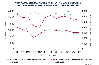 Annual Report to the Nation Part 2: New cancer diagnoses fell abruptly early in the COVID-19 pandemic