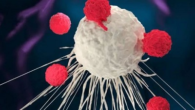 CAR-T cell researchers at Mayo Clinic optimistic about future of treating blood cancers