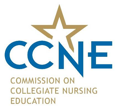 Health Care Excellence on the Rise for Nursing Education and Practice