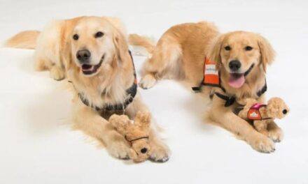 Cleveland Clinic Children’s Facility Dogs Embark on International Adventure
