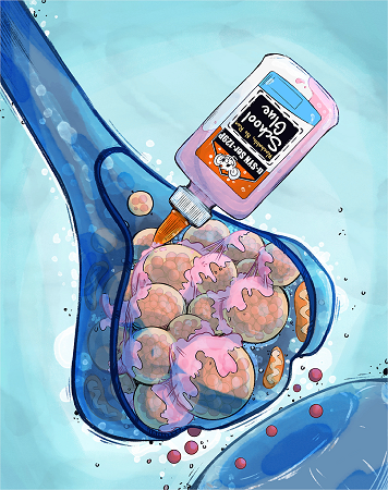 A common marker of neurological diseases may play role in healthy brains