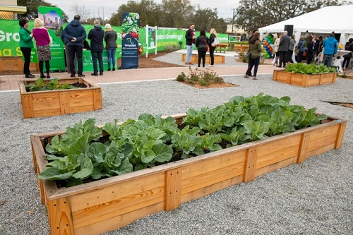 With New Community Garden and Food Pharmacy, Tampa General Hospital and the City of Tampa Advance Health and Wellness Among Area Residents
