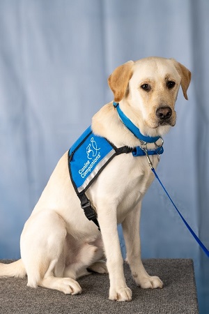 Lee Health Welcomes First Facility Dog at Gulf Coast Medical Center for  Occupational and Physical Therapy Patients