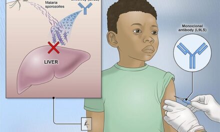 Experimental NIH malaria monoclonal antibody protective in Malian children