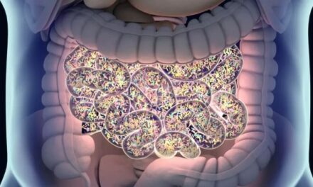 Cleveland Clinic, Tufts University Research Ties Gut Microbial TMAO Pathway to Chronic Kidney Disease