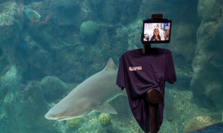 Tampa General Hospital Partners with The Florida Aquarium to Bring Innovative, Immersive Experience to Pediatric Patients