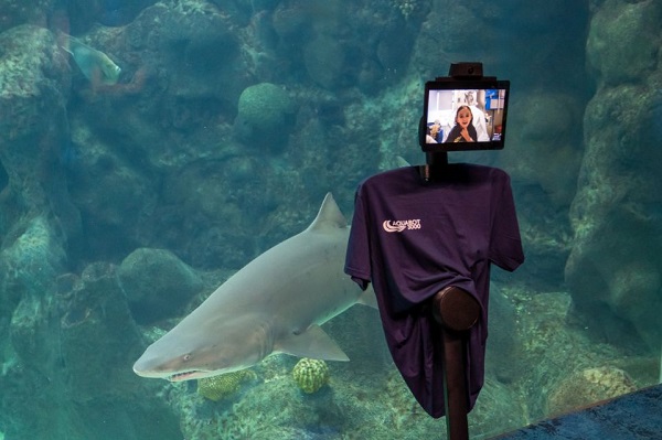 Tampa General Hospital Partners with The Florida Aquarium to Bring Innovative, Immersive Experience to Pediatric Patients
