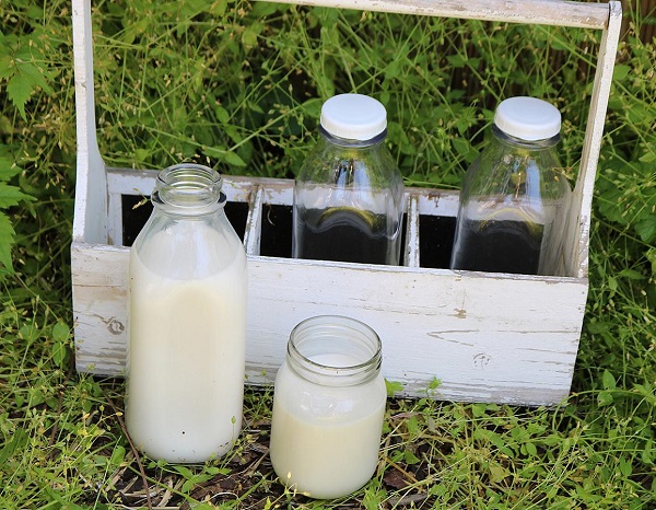 Infectious H5N1 influenza virus in raw milk rapidly declines with heat treatment