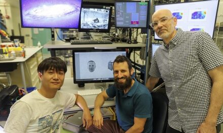 NIH researchers discover a new face-detecting brain circuit