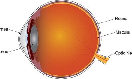 Supplements slow disease progression during late stage of “dry” age-related macular degeneration