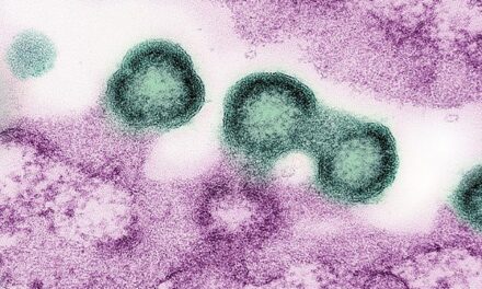 Long-acting injectable cabotegravir for HIV prevention is safe in pregnancy
