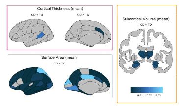 Youth with conduct disorder show widespread differences in brain structure