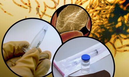 Candidate malaria vaccine provides lasting protection in NIH-sponsored trials
