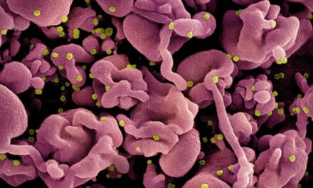 NIH-funded study finds long COVID affects adolescents differently than younger children