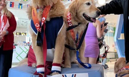 Joe DiMaggio Children’s Hospital Holds Pup-tacular Facility Dog Olympics