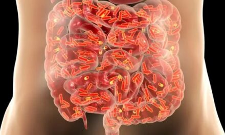 Study by Cleveland Clinic, Tufts University Highlights Potential for Using TMAO – a Digestive By-Product – to Predict Heart Failure Risk