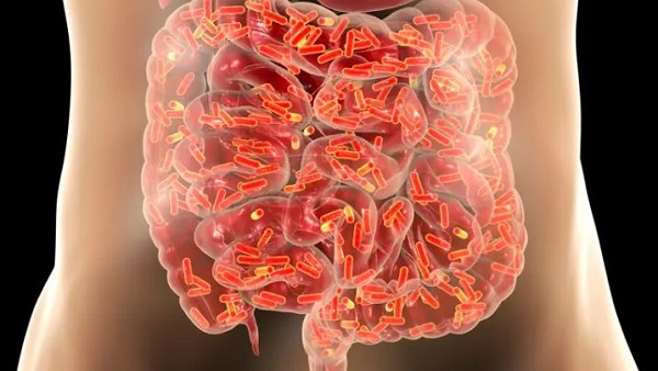 Study by Cleveland Clinic, Tufts University Highlights Potential for Using TMAO – a Digestive By-Product – to Predict Heart Failure Risk