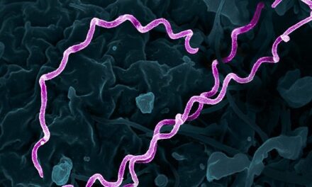 Emergency department screening more than doubles detection of syphilis cases