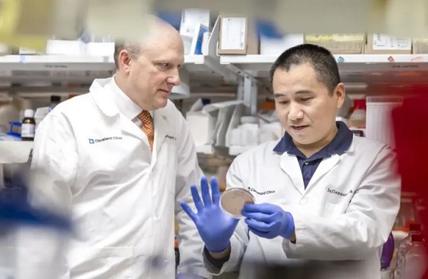Cleveland Clinic Researchers Discover New Bacterium that Causes Gut Immunodeficiency