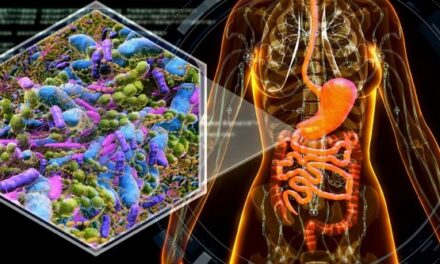 Mayo researchers develop tool that measures health of a person’s gut microbiome