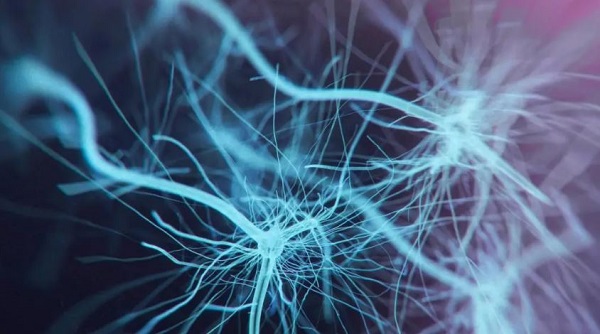 Mayo Clinic awarded federal grant to study experimental ALS drug