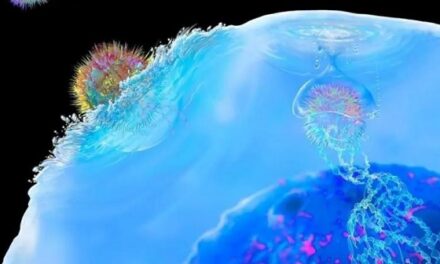Using a molecular scissors to improve CAR-T cell therapy