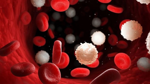 Mayo Clinic study finds dysfunctional white blood cells linked to heightened melanoma risk