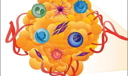 NIH-funded scientists uncover clues to precancer and tumor biology