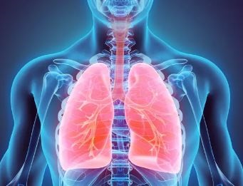 Proposed Scoring System May Enhance Equity in Organ Transplantation, Increase Transplant Rates and Improve Patient Survival