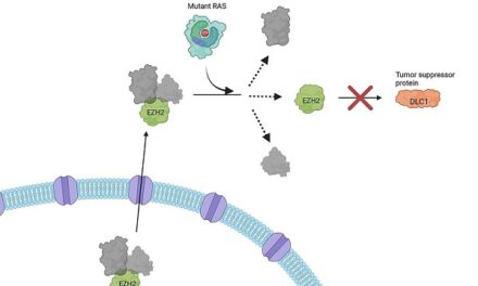 Researchers uncover new role of mutant proteins in some of the deadliest cancers