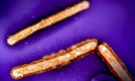 Single mutation in H5N1 influenza surface protein could enable easier human infection