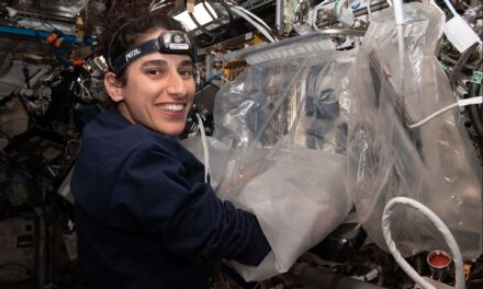 Up to $1.6 Million in Funding Available for NSF Tissue Engineering Research Utilizing the ISS National Lab