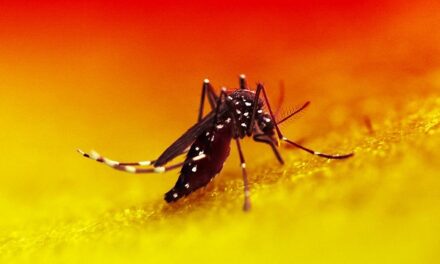 NIH-funded clinical trial will evaluate new dengue therapeutic