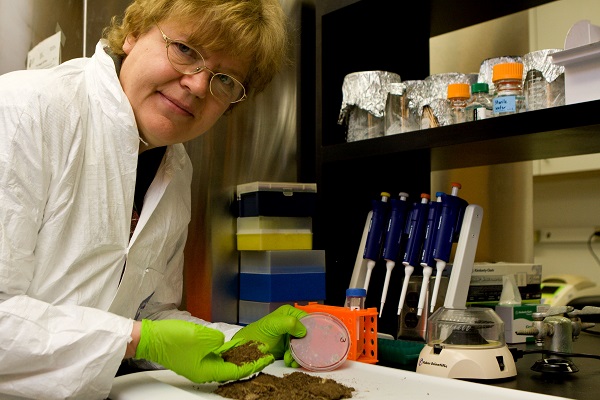 UF/IFAS researchers take step toward creating Salmonella vaccine