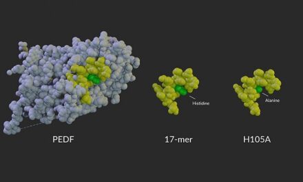 NIH researchers develop eye drops that slow vision loss in animals