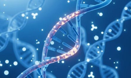 Mayo Clinic researchers identify a measurable genetic mutation as a significant predictor of metastasis and survival in pancreatic cancer