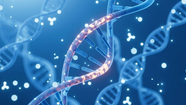 Mayo Clinic researchers identify a measurable genetic mutation as a significant predictor of metastasis and survival in pancreatic cancer