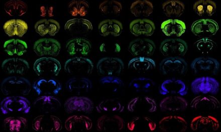 Scientists design gene delivery systems for cells in the brain and spinal cord