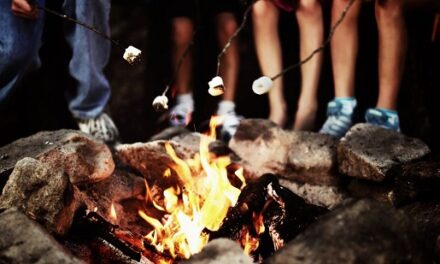 Fire safety tips for families: Prevent burns around campfires