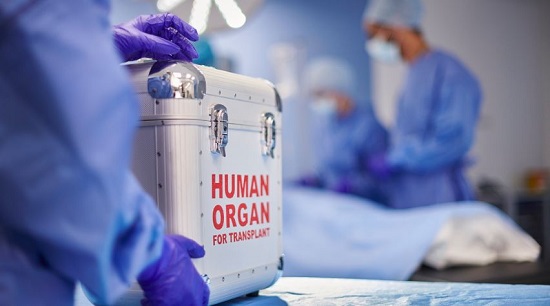 Mayo Clinic discovery could mean better access to more donor hearts and improved transplant outcomes