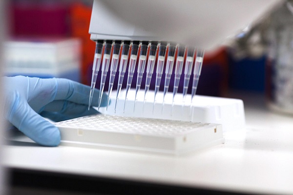 MD Anderson and TOPPAN Holdings announce strategic alliance to co-develop organoid technology for evaluating cancer treatments