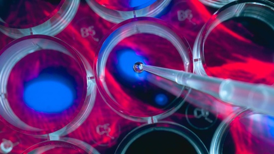 mayo clinic glp-1 patches Mayo Clinic researchers identify a new stem cell patch to gently heal  damaged hearts