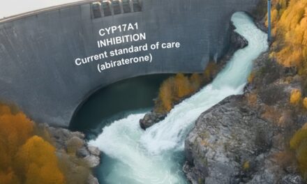 Nature Communications Publishes Miller School of Medicine Discovery That Could Transform Prostate Cancer Treatment