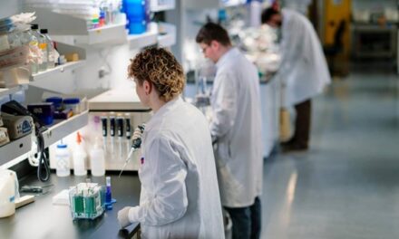 Mayo Clinic uses gene editing to reverse inherited kidney disease in preclinical study